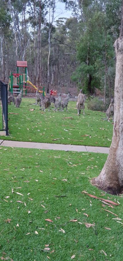 A-Line Holiday Park Bendigo Luaran gambar