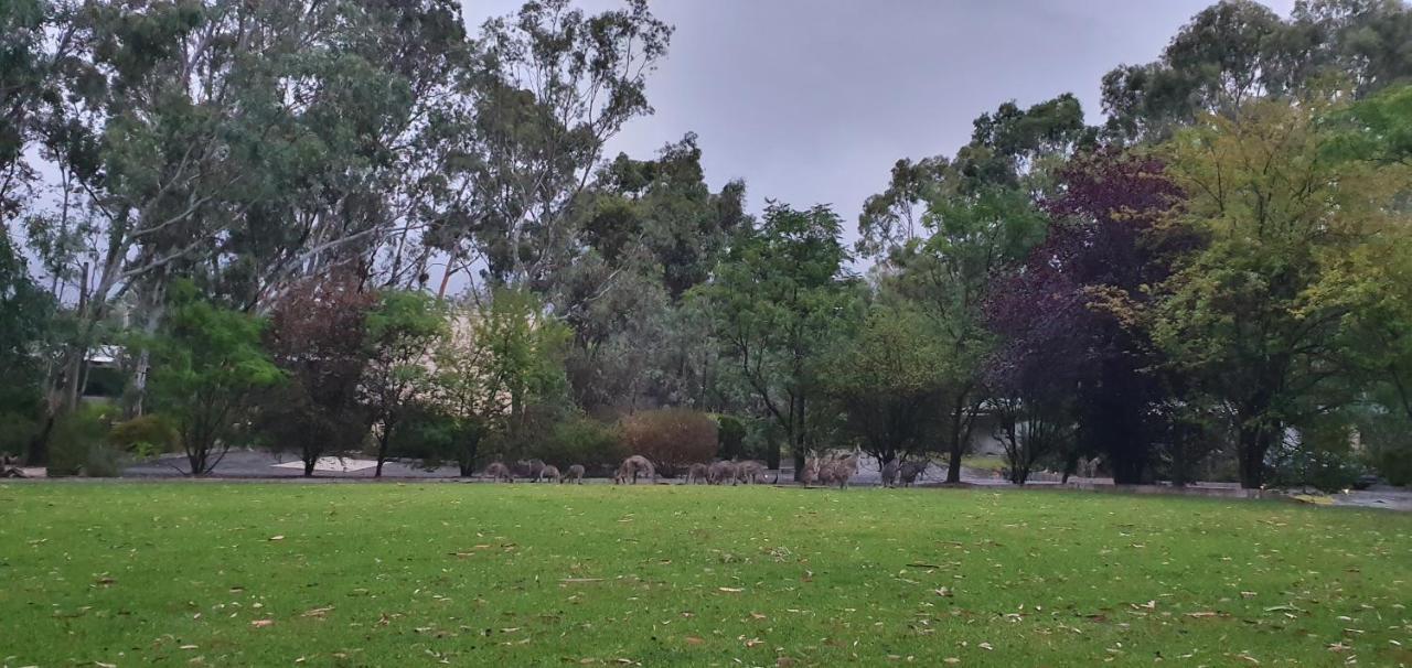 A-Line Holiday Park Bendigo Luaran gambar